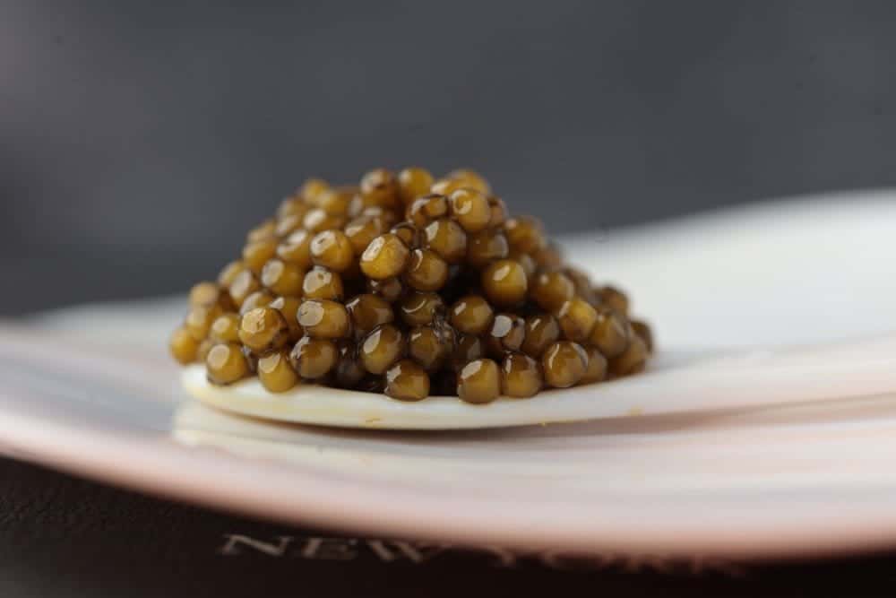 spoonful of caviar