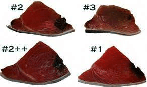 Tuna grading chart that's labeled # 2, # 3, # 2 ++, # 1.